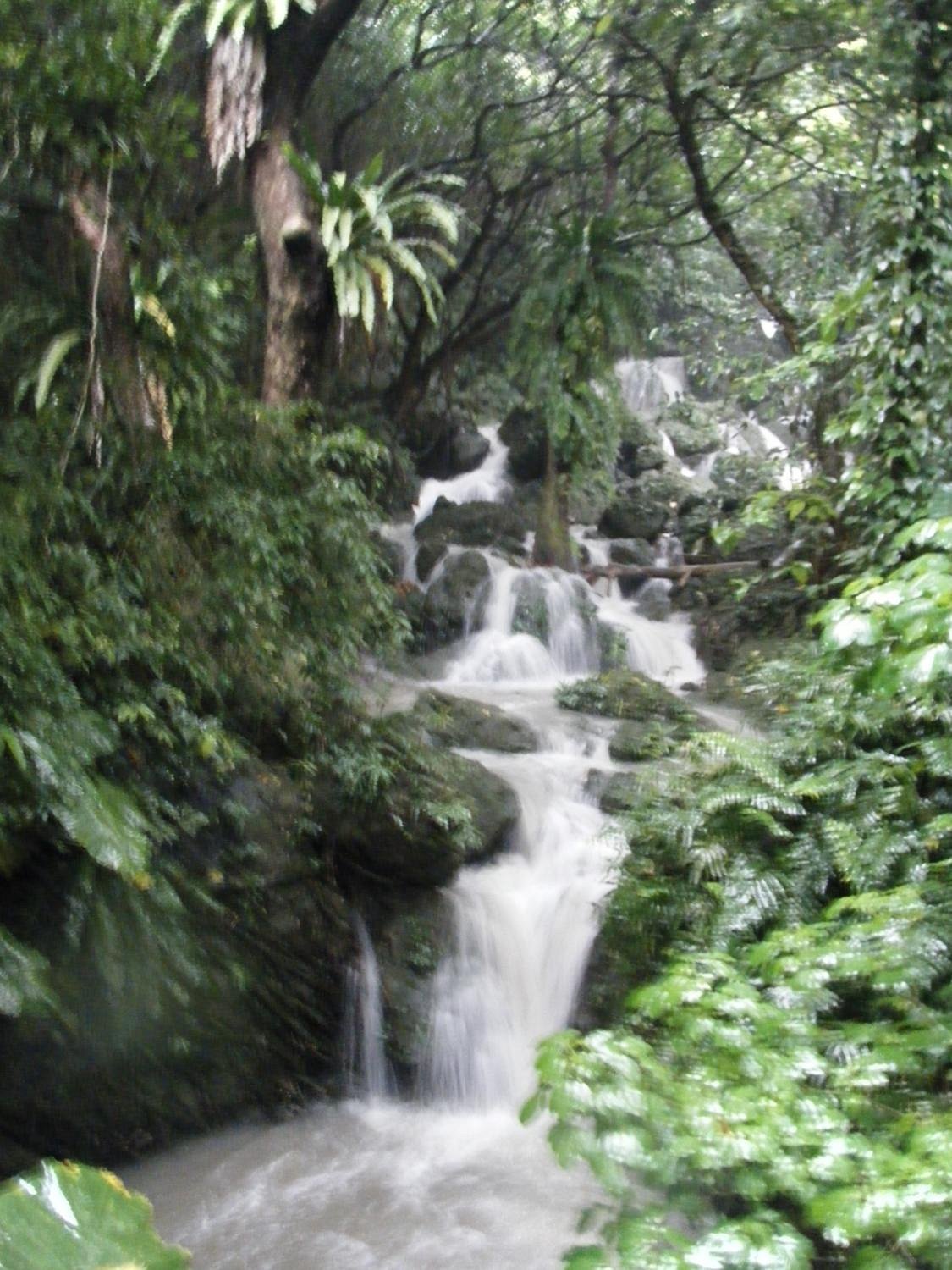 🏞️ 말길 공원 (스에요시 코엔) 이미지 6